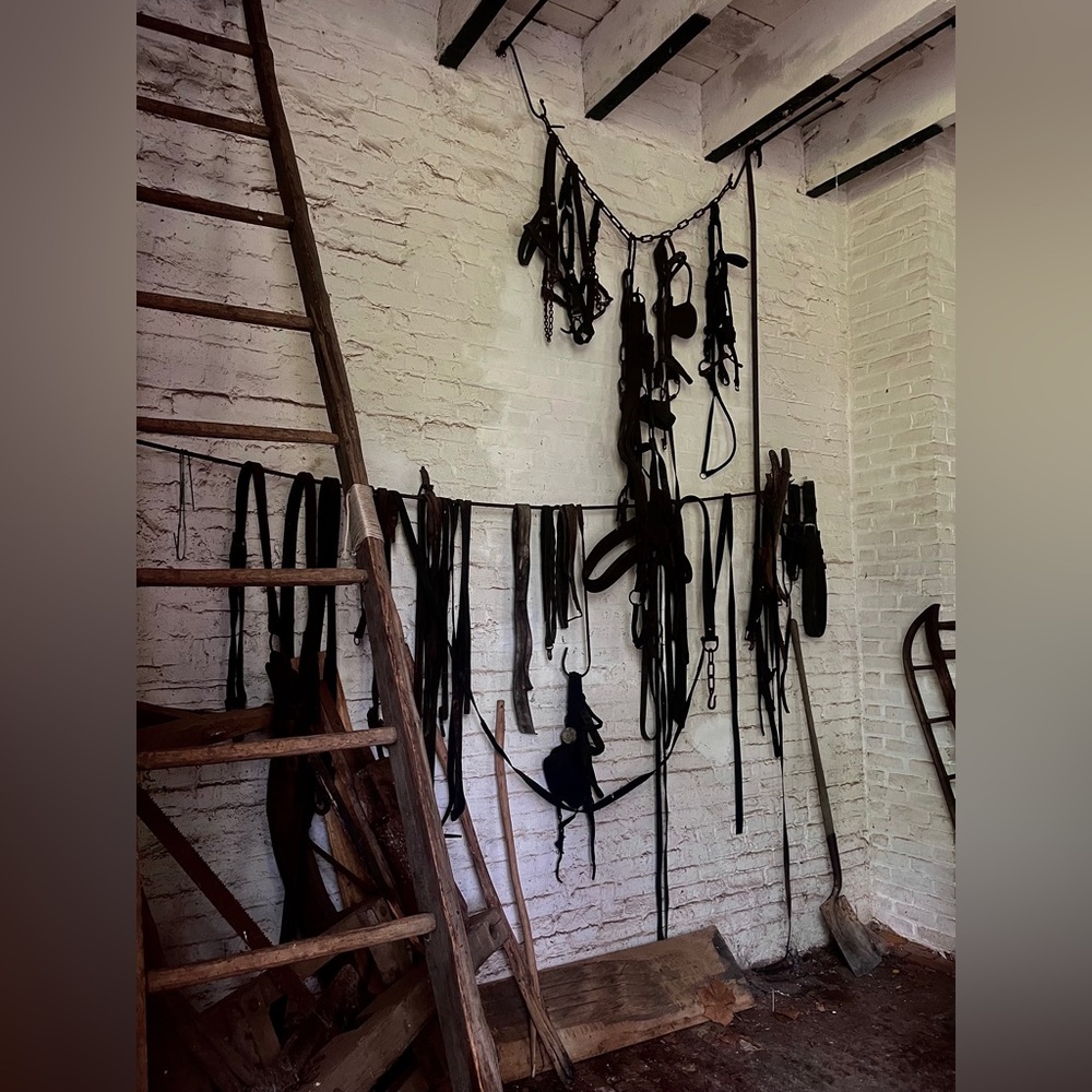 Home decor print barn 8.5x12